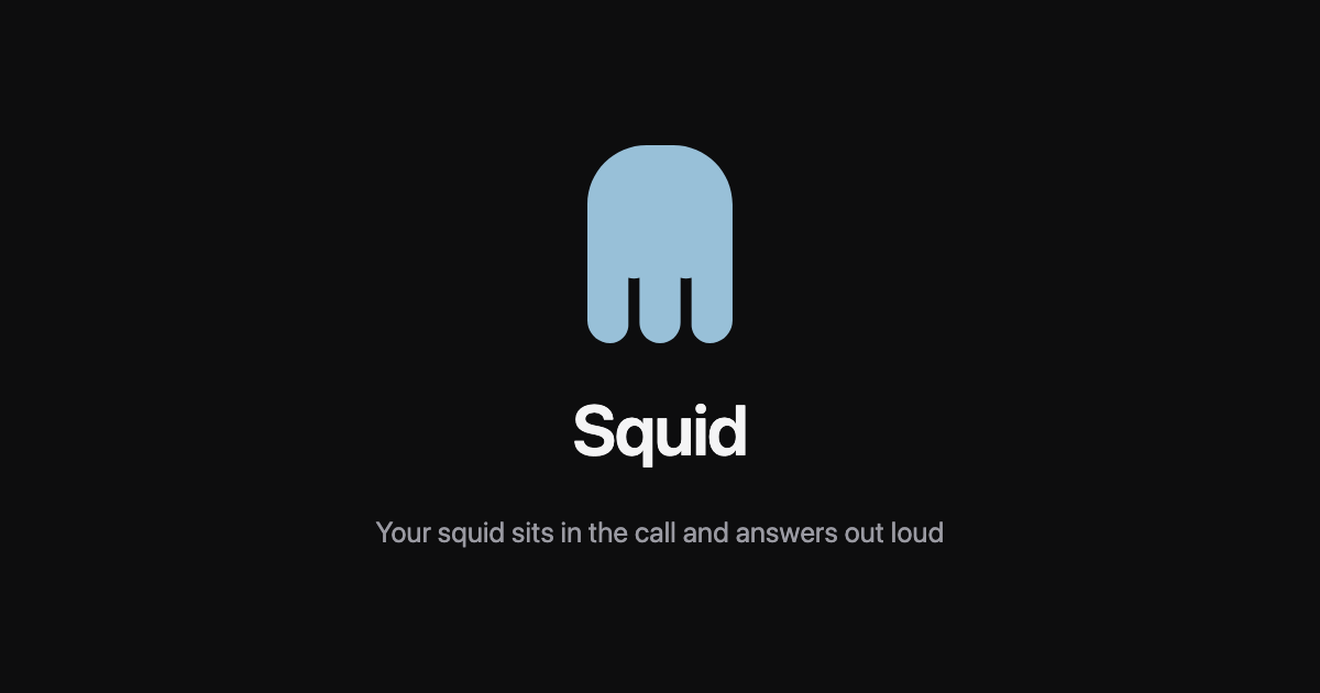 meet.squidhub.ai image